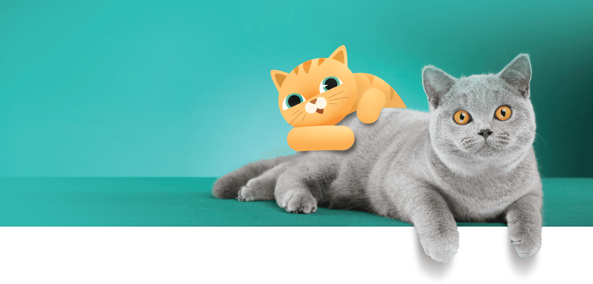 Furryfy About Banner